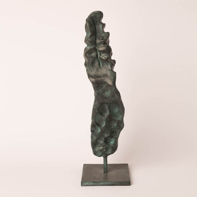 Katalog 2018 – Mittlere Gorgo